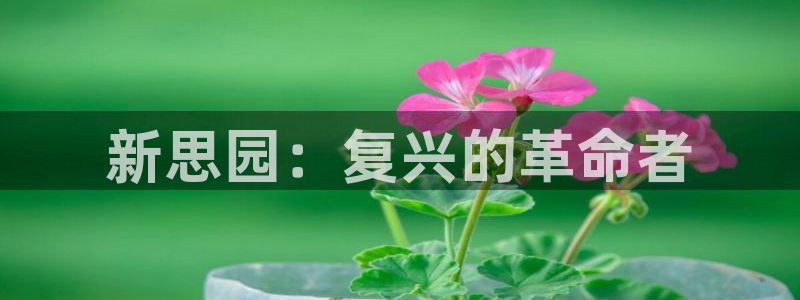 天辰娱乐维护