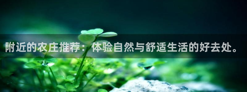 天辰娱乐1956