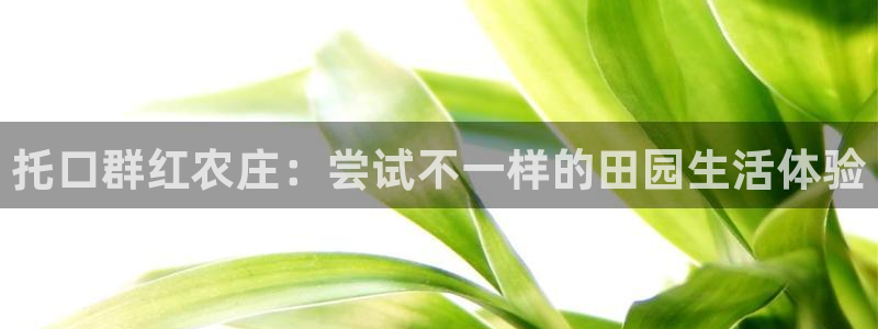 天辰a娱乐