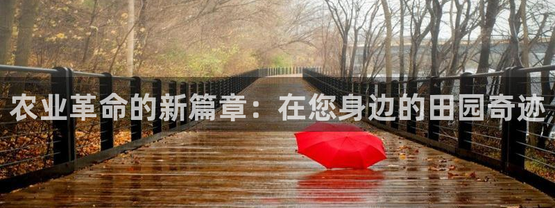 天辰娱乐39974神