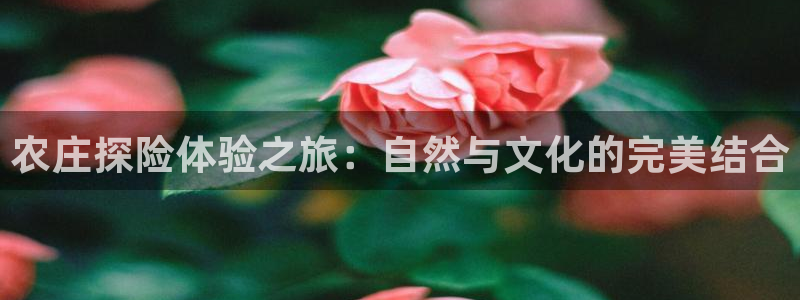 天辰娱乐卡