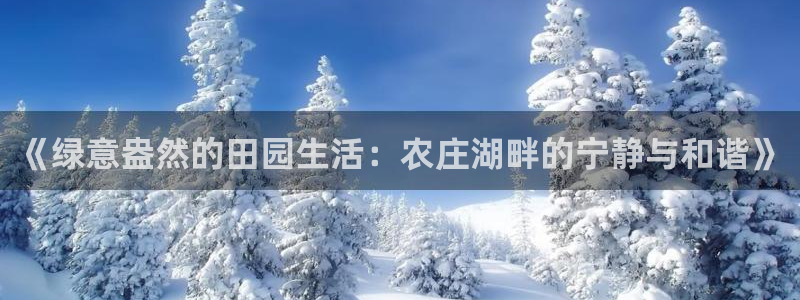 天辰娱乐所