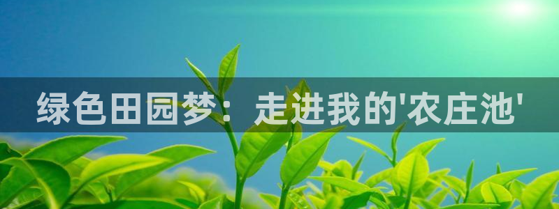 天辰娱乐 天辰平台