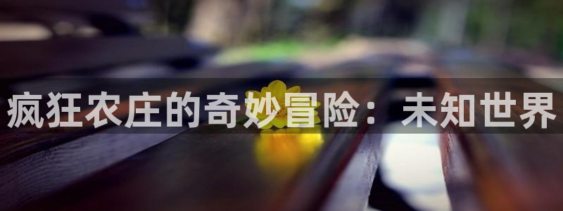 天辰娱乐解封