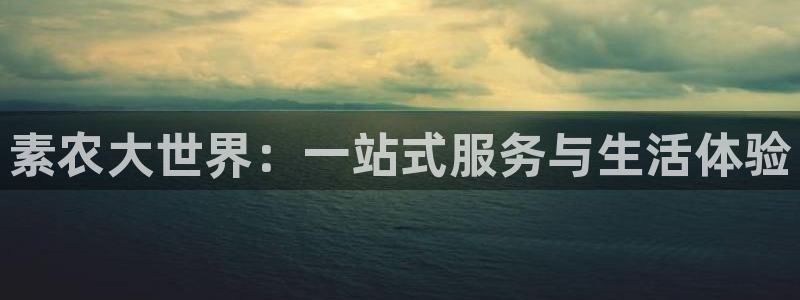 南充天辰娱乐