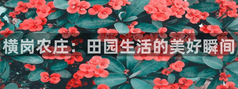 天辰2娱乐