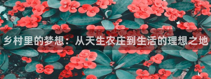 天辰娱乐白屏