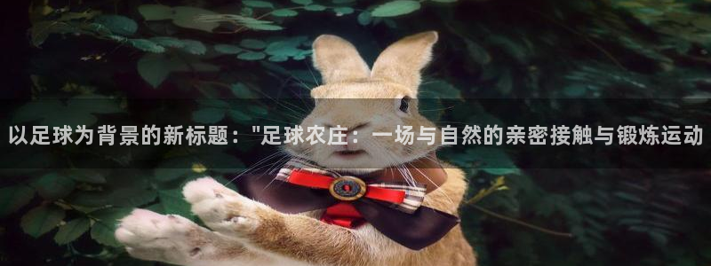 天辰娱乐51137