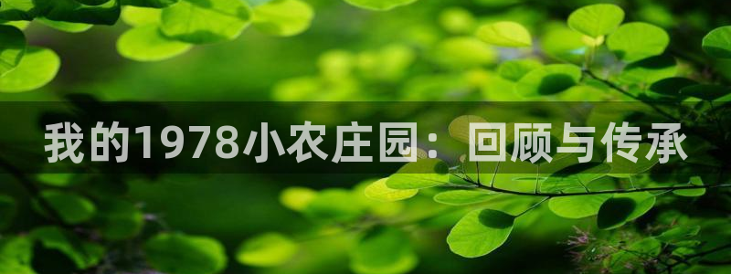 天辰娱乐1966