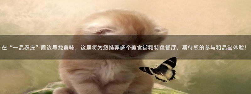 广东天辰娱乐