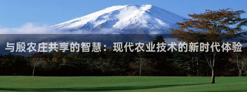 天辰娱乐675138