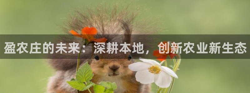 天辰娱乐直属