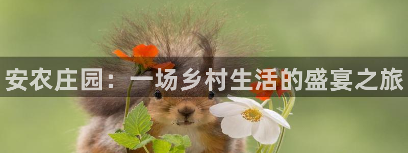 天辰娱乐481928