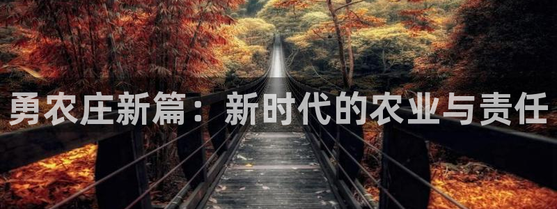 天辰娱乐首页