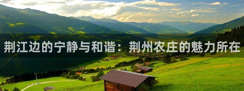 天辰娱乐 . 鱼刺