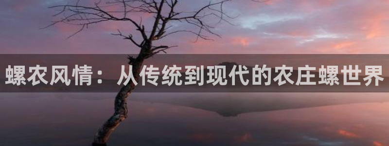 天辰娱乐会员