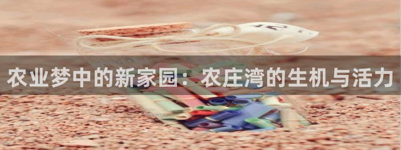 天辰宝娱乐