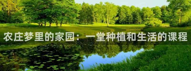 天辰娱乐输了