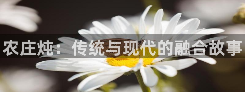 天辰娱乐测速
