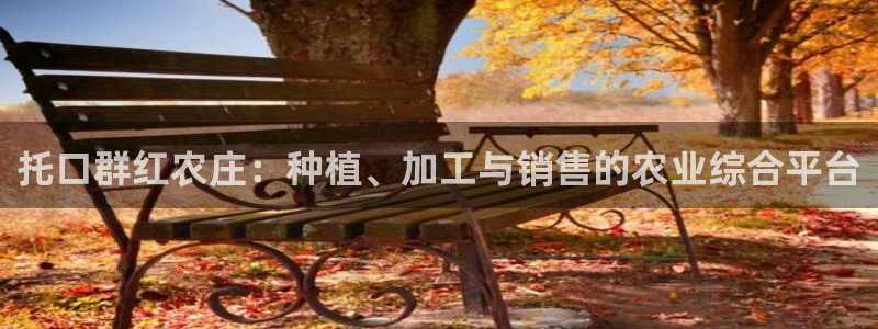 南京天辰娱乐