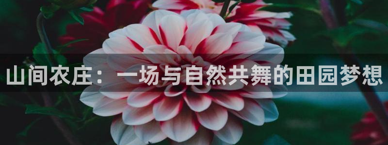广东天辰娱乐