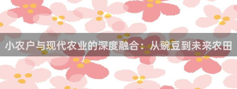 天辰娱乐输了