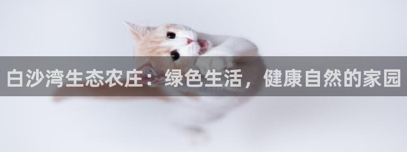 天辰娱乐 44516