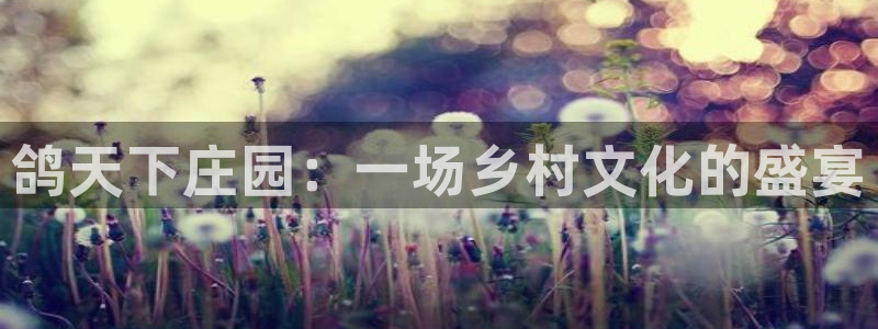天辰娱乐海洋