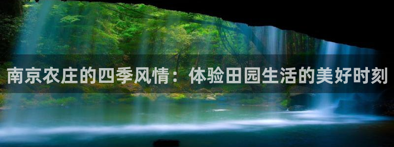 天辰娱乐服务