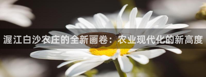 天辰娱乐招商
