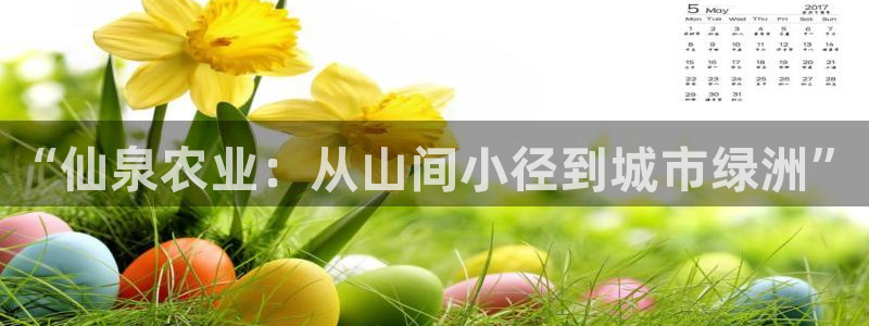 天辰娱乐登陆平台