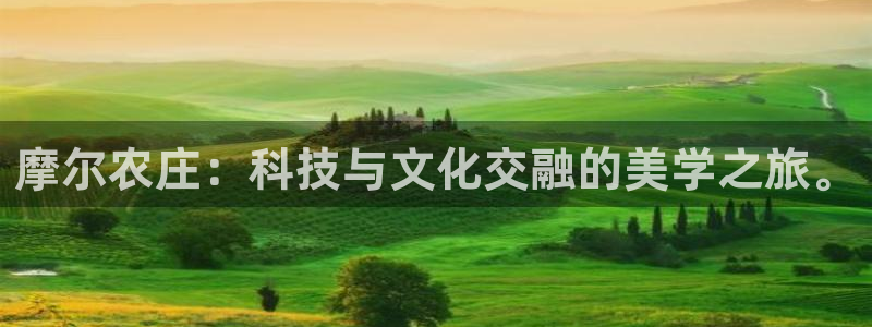 天辰娱乐跑的快