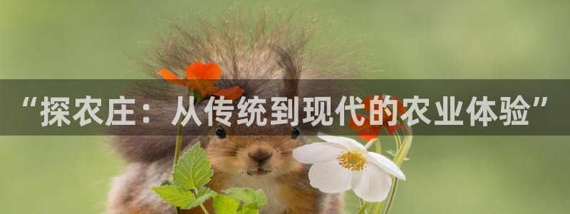 天辰娱乐官网平台入口