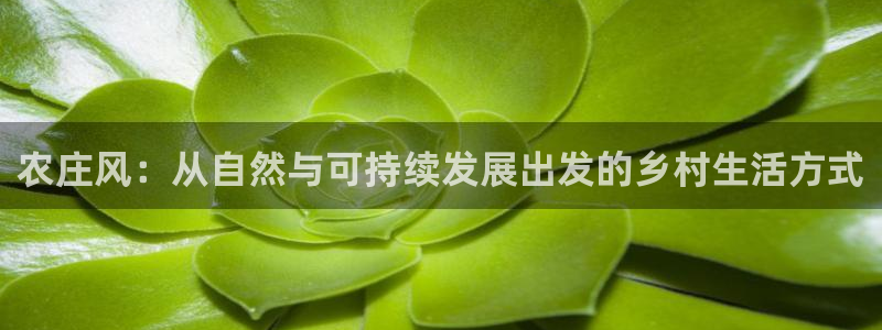 天辰2娱乐