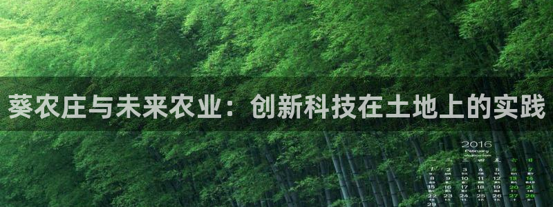 天辰娱乐885544
