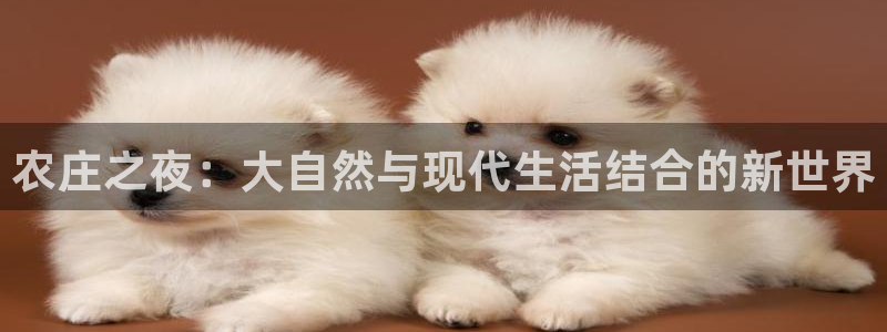 天辰娱乐会员