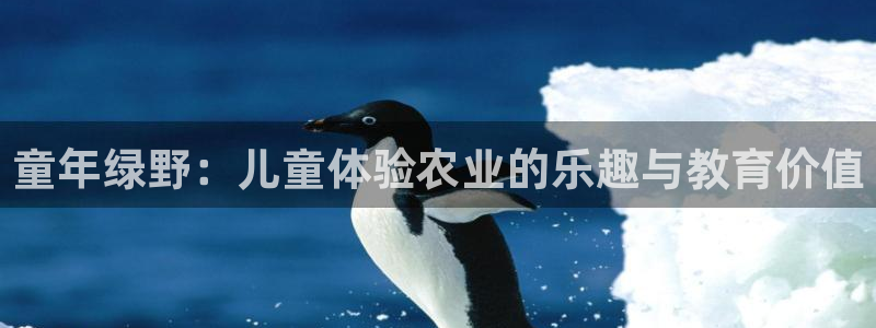 天辰娱乐61116
