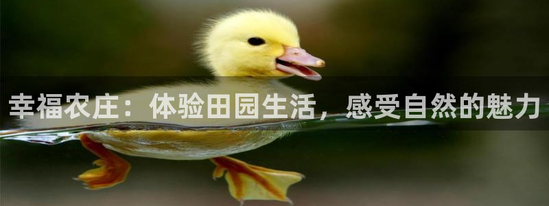 天辰娱乐挂机
