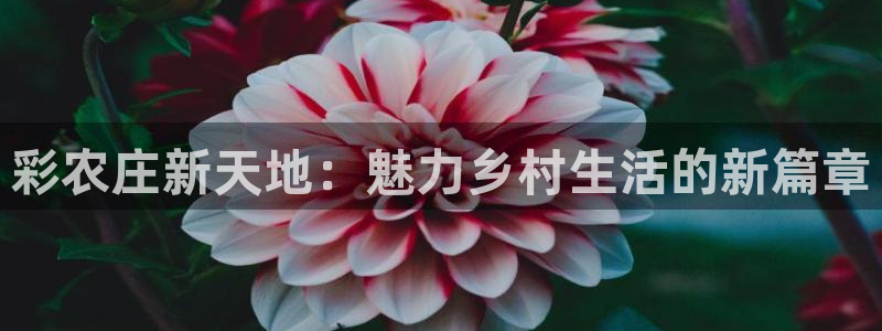 天辰娱乐75775