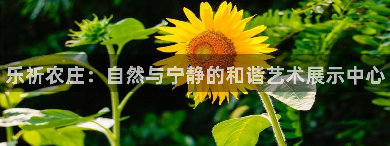 天辰娱乐957807