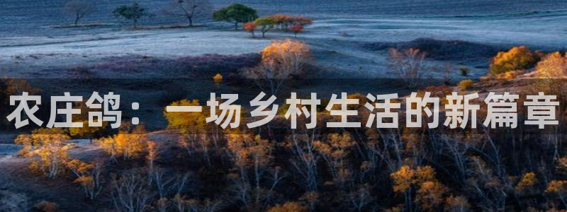 天辰娱乐1980