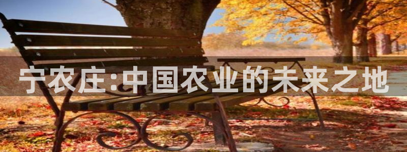 天辰娱乐登录网址