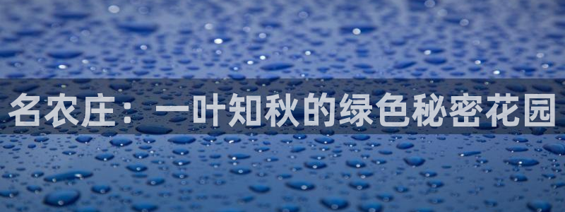 天辰娱乐厕所