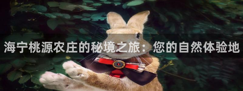 天辰娱乐直属