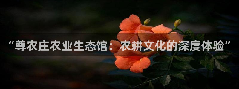 天辰娱乐平台测速