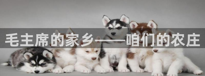 南充天辰娱乐