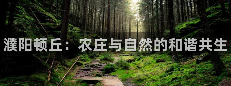 天辰娱乐挂机