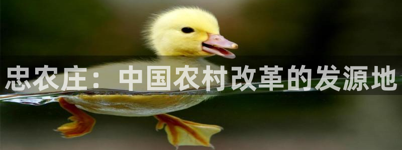 天辰娱乐招商
