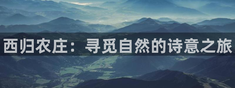 天辰娱乐代理