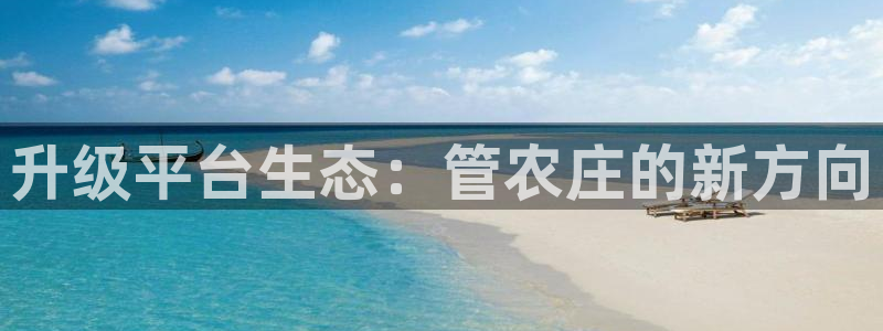 天辰娱乐白屏